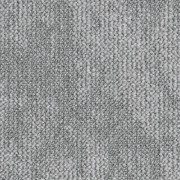 710561004