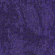 710561034