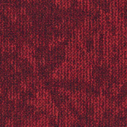 710561036
