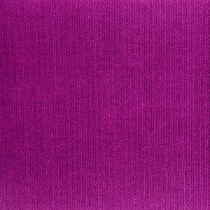 Violeta